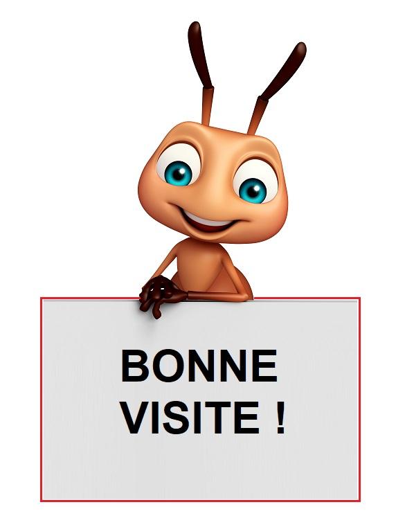 Bonne visite