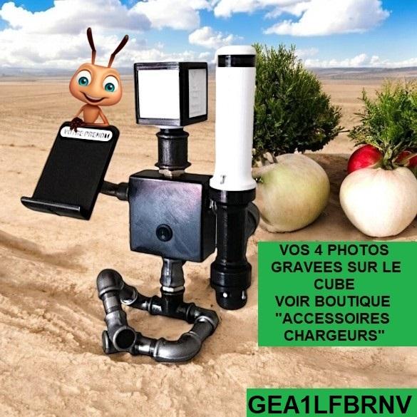 Gea1lfbrnv