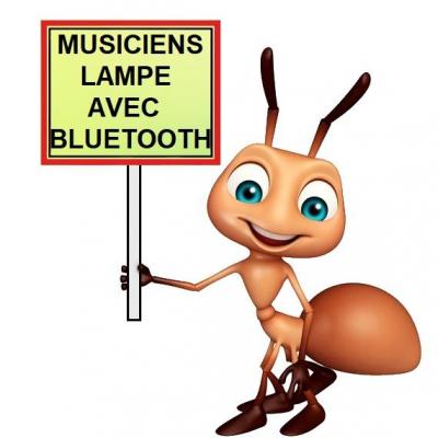 Musiciens bt