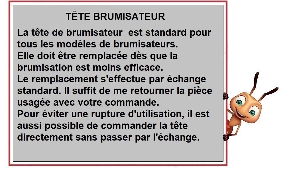 Tete brumi 1